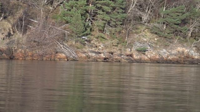 ВОТ ОНО РЫБАЦКОЕ СЧАСТЬЕ! ТАКОЙ РЫБАЛКИ У МЕНЯ ЕЩЁ НЕ БЫЛО! Рыбалка в Норвегии с берега. Люр. Треск смотреть онлайн