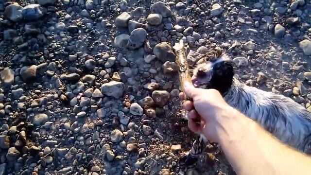 Река Уфа смотреть онлайн