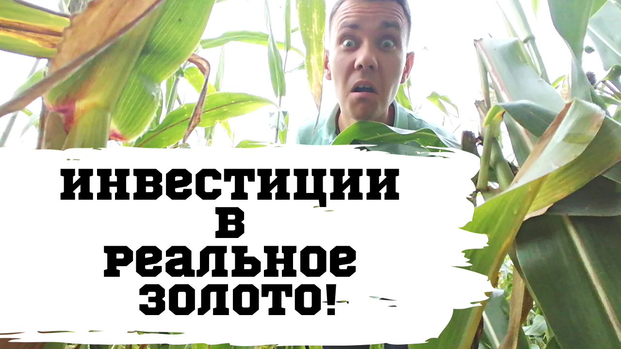 Мой Первый Опыт Покупки Золотых и Серебряных Монет! Инвестиции в Золото!