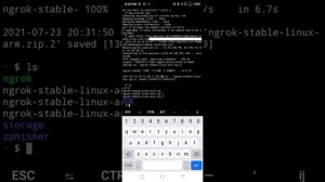 Installing NGROK in termux in android mobile