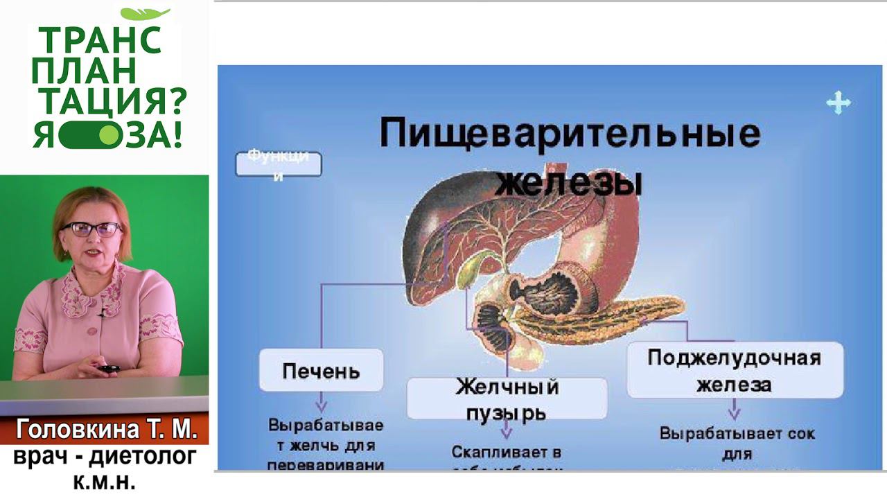 01 Диетотерапия. Особенности печени