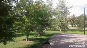 УСЛЫХАВ СУДББЫ ПРИЗЫВ!