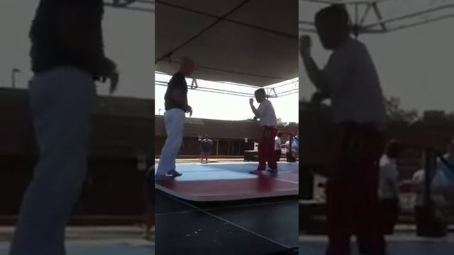 David Swain and Todd Lawrence sambo demo смотреть онлайн