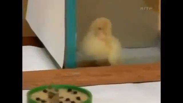 пикс пикс пикс смотреть онлайн