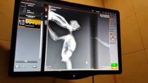 Сова сплюшка Веточка. Ветеринарный осмотр и процедуры