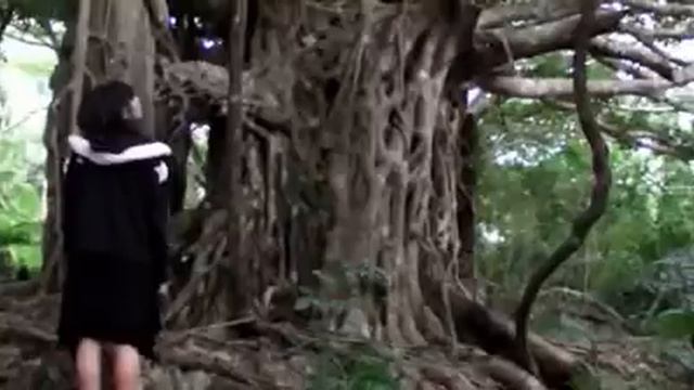 Hana Haruna 2 смотреть онлайн