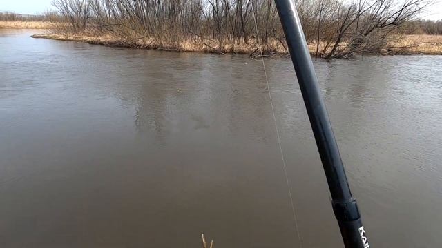 Рыбалка на РЕКЕ/Набил КАН Рыбы,но пришлось ее ИСКАТЬ./КЕМБРИК Рулит! смотреть онлайн