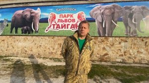 В Тайган приехали слоны! Я так долго об этом МЕЧТАЛ!