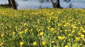 Голубые озера 2023