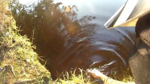 Сарженское озеро 2