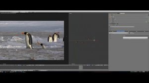 NOOT NOOT! - Pingu in Real Life