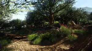 The Witcher 3  Toussaint  Calming Ambient Music With Immersive landscapes for Meditation