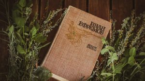 11. Иван Ефремов «Лезвие бритвы» - Часть 2 ЧЕРНАЯ КОРОНА. Глава 2 СОКРОВИЩА АФРИКИ