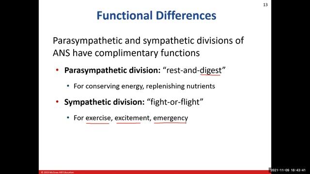 Day 22: The Autonomic Nervous System (Ch15) Lecture BIO 210 721 смотреть онлайн