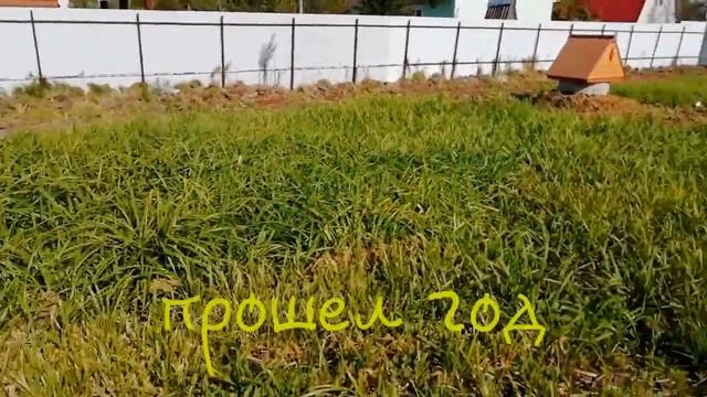 сколько сделано с нуля на дачном участке... смотреть онлайн