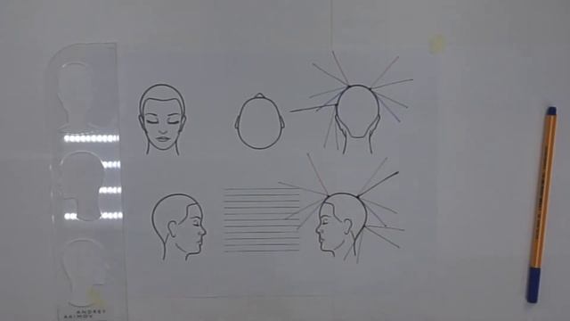 Рисуем схемы стрижек 4. Андрей Акимов .  Andrey Akimov.   Обучение парикмахеров!