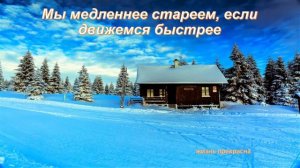 мудрые фразы из книги "виноваты звёзды"