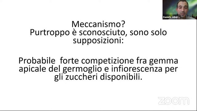 NETTARE D’ACACIA: FISIOLOGIA VEGETALE смотреть онлайн