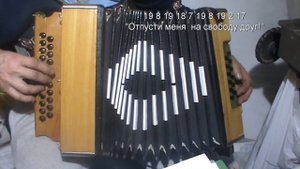 Лягушка и три желания с нотами в цифрах
