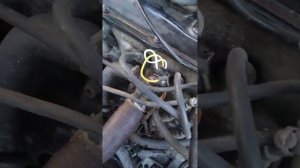 volkswagen passat b3 привели в порядок, подкапотную проводку