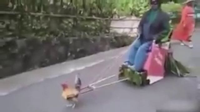(Как Проверка у Проктолога) Смешные Видео и Мемы Сборник на Вечерочек под Пивко с Пацанами Попырить