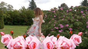 Зачем же я розочку садила... Казачий романс