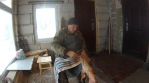 Молодому охотнику. Мездрение лисы