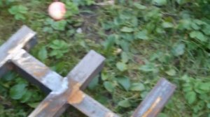 DSCF2656 борона к мотоблоку своими руками.