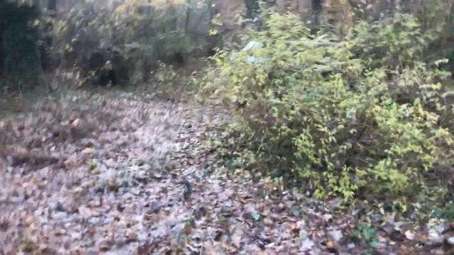 1959 ford thunderbird Ford 352 v8 sitting for 20 years and a versavan, 1979 ranger. смотреть онлайн