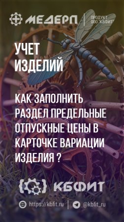 КБФИТ: МЕДЕРП. Учет изделий: Как заполнить раздел "Предельные отпускные цены" ?