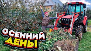 В деревне ВЕСЕЛО, а СКУЧАТЬ некогда! Переселяем птиц! | Молодая Ферма