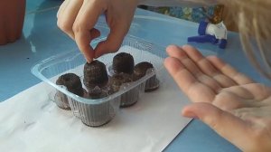 Посадка семян глоксинии в торфенные таблетки