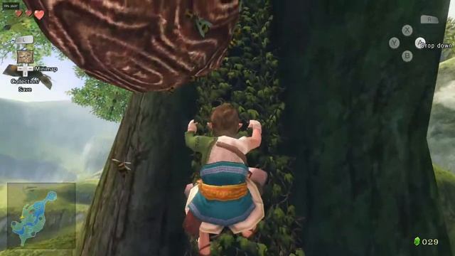 Zelda Twilight Princees on Ryzen 3 4300U смотреть онлайн