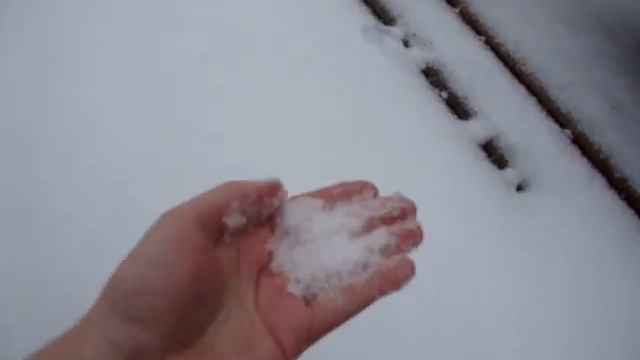 Arkansas Palm Trees in Snow смотреть онлайн