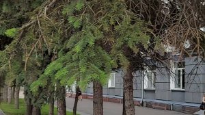 Прогулки по Кемерово.17 июля