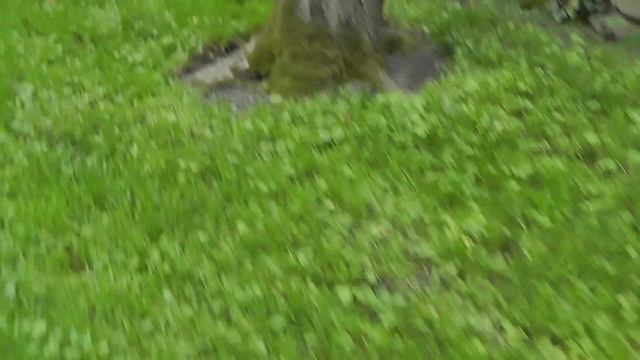 парк лога смотреть онлайн