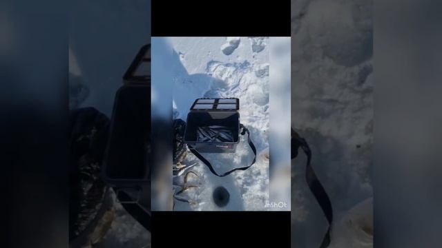 Ловля корюшки, зубаря и наваги на удилище и блёсны от Mr. Musurok