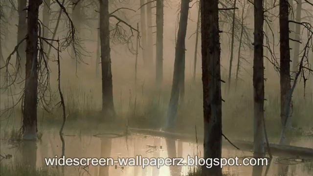 Free High Resolution Widescreen Wallpapers смотреть онлайн