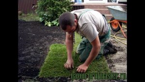 Устройство рулонного газона на дачном участке gazon profmaster