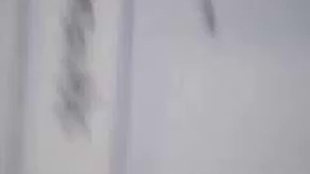 Как создать вирус шутку