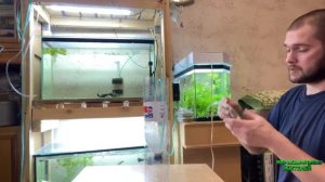 Как я Инкубирую яйца Артемии            #Аквариумистика #рыбки #Аквариумные_растения #запускакариум