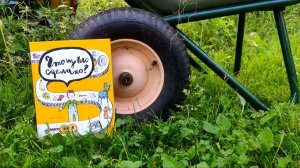 Летние новинки детского научпопа. Читаем и листаем