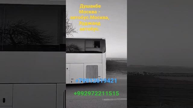 Душанбе Москва - автобус. Худжанд, Москва - автобус.+79160960505