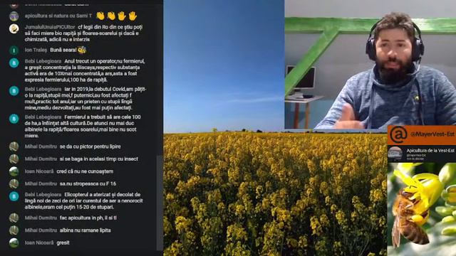 Ce Substante Ucid Albinele la culturile de la Rapita si Floare Soarelui смотреть онлайн