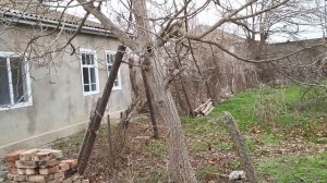 Саманный дом обзор