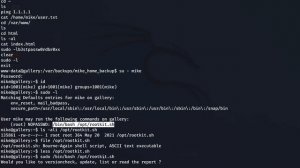 Local privilege escalation and getting root - Gallery TryHackMe