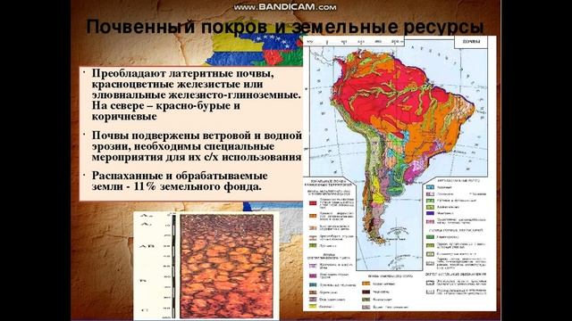 Природные зоны бразилии почва. Типы почв Южной Америки на карте. Карта почв Южной Америки. Карта почв США. Карта почв Северной Америки.