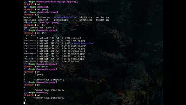 bsdcan pgp key signing party смотреть онлайн
