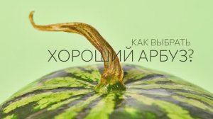 Как выбрать хороший арбуз? 🍉