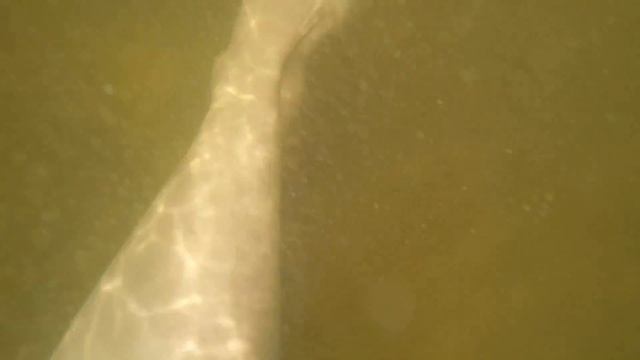 Саратов 2016 Эпизод пляжный смотреть онлайн